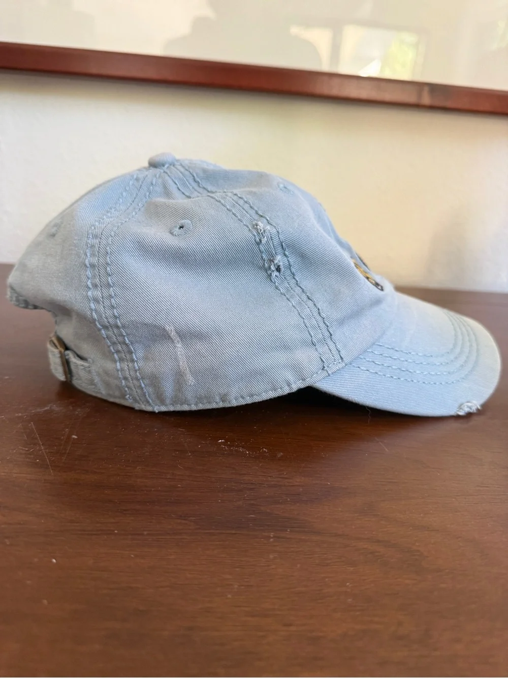 Life Is Good Light Blue Kids Baseball Hat with Dog Patches